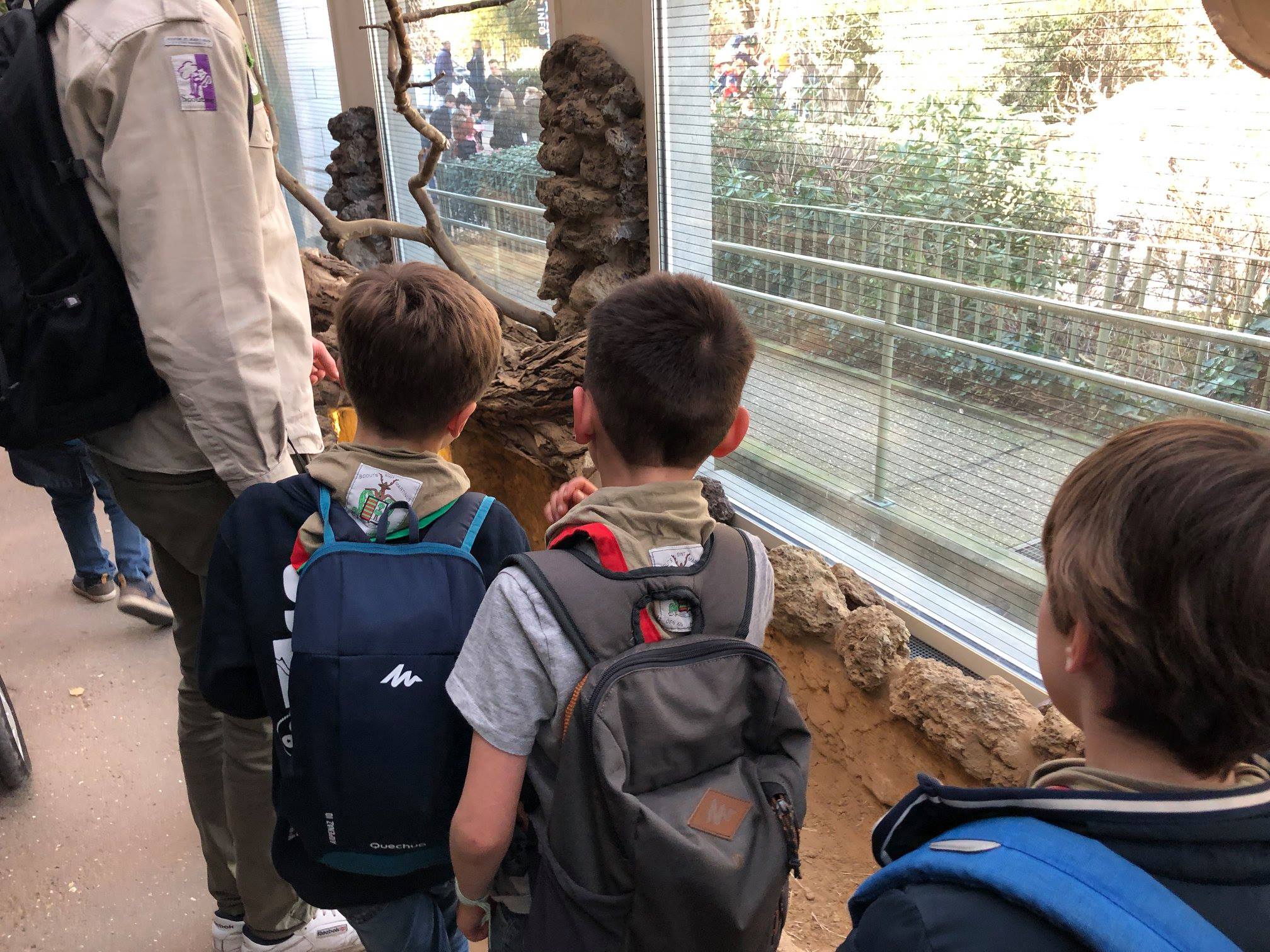 Sint-Martinus den XIIde - Zoo Antwerpen Kapoenen